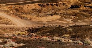 亚洲羽球混合团体赛｜专注改善新赛季表现 荣韵组合寻稳定发挥