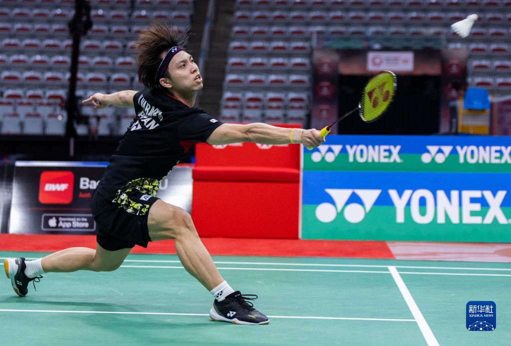 大放异彩 大放异彩